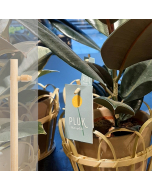 Bambini Sideways bamboe etiketsteker 23 cm naturel