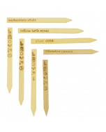 Ekosteker op maat 3 mm naturel