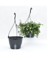 Aqua Easy hangpot Ø 32,5 cm antraciet