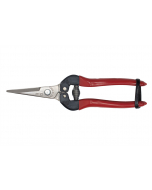 BigStar P-170 fruitschaar rood vernikkeld