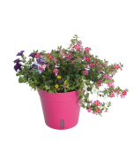 Aqua Easy terraspot Ø 27 x 25 cm cerise 