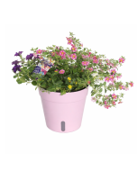 Aqua Easy terraspot Ø 27 x 25 cm lichtroze 