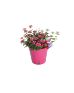 Aqua Easy terraspot Ø 27 x 25 cm cerise 675C