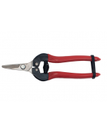 BigStar P-170C fruitschaar rood vernikkeld