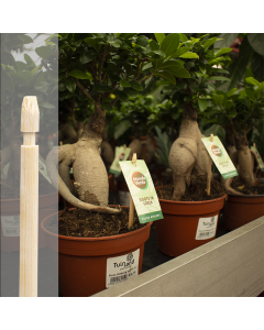 Bambini bamboe etiketsteker 16 cm naturel