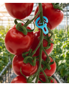Bio merkring 