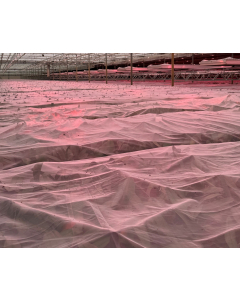 Mevolon Potwormengaas / 1,80 x 250 m transparant