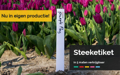 Uit eigen productie en verbeterd!