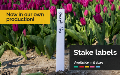 Produced in-house and improved