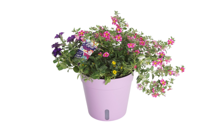 AMEVO präsentiert Aqua Easy: Wasserstand immer im Blick dank Sichtfenster