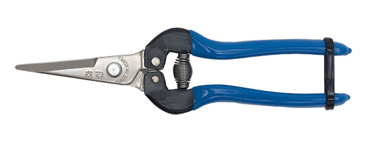 BigStar P-170 vernikkeld blauw handvat