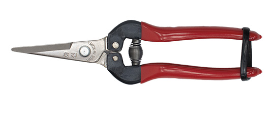 BigStar P-170 vernikkeld rood handvat